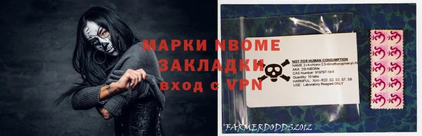 ПСИЛОЦИБИНОВЫЕ ГРИБЫ Арсеньев