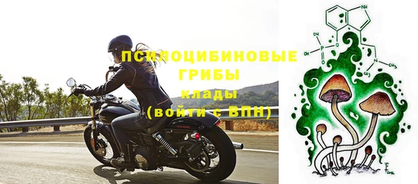 амф Балахна