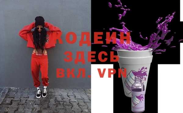 ПСИЛОЦИБИНОВЫЕ ГРИБЫ Арсеньев