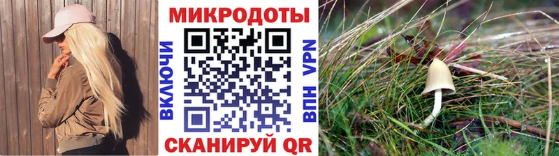 Купить где  Сычёвка  Псилоцибиновые грибы Cubensis 